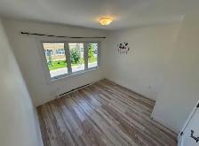 4½ RÉNOVÉ À 90% – Montréal-Nord – Dispo novembre - Photo 3