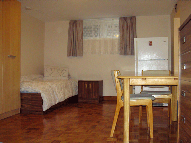 Bright, spacious, basement apartment