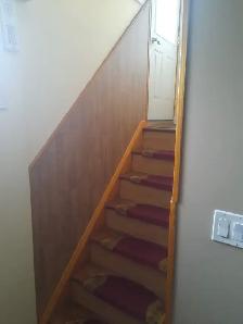Bright, spacious, basement apartment - Photo 3