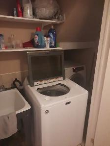 Bright, spacious, basement apartment - Photo 6