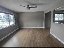 5 Bedroom House for rent in Glenwood - Photo 6