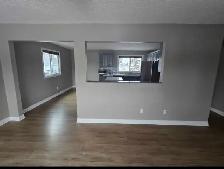 5 Bedroom House for rent in Glenwood - Photo 7