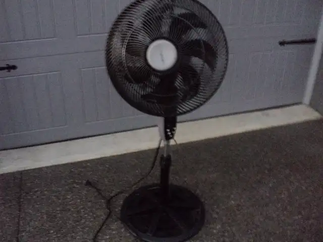 CALLS ONLY! BLACK FLOOR FAN ~ Call Woody the FAN MAN