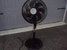CALLS ONLY! BLACK FLOOR FAN ~ Call Woody the FAN MAN