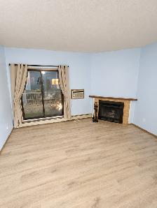 2-Bedroom Condo for Rent — 100 Plaza Drive, Winnipeg - Photo 3