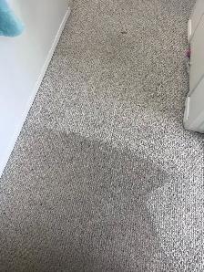 OKz.ca Special $130 Whole house truckmount carpet cleaning deal - Photo 4