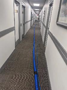 OKz.ca Special $130 Whole house truckmount carpet cleaning deal - Photo 9