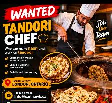 Tandoori naan maker for Indian Restaurant