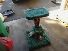 Cat stand (Cat not included !)