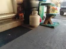 Cat stand (Cat not included !) - Photo 3