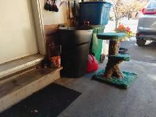 Cat stand (Cat not included !) - Photo 4
