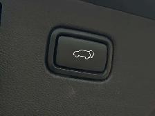 2020 Kia Sorento No Accidents l EX l V6 l 7 Passanger l All Opti - Photo 12
