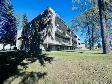 Evergreen Manor - 1 Bedroom Apartment for Rent - Photo 2