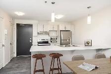 The Boardwalk - 1 Bed - Levine D - Winnipeg - Photo 7