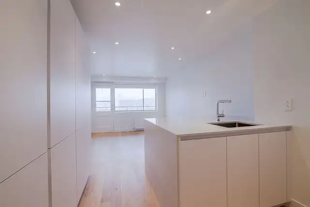 Renovated Studio apartment near McGill - ID 3742