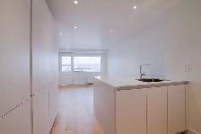 Renovated Studio apartment near McGill - ID 3742