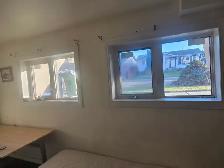 Room for rent in millwoods, by 50st/19 Ave NW - Photo 3