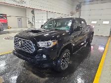 2020 Toyota Tacoma