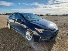 2020 Toyota Corolla - Photo 2