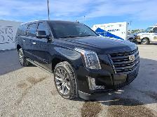 2020 Cadillac Escalade ESV - Photo 3