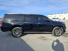 2020 Cadillac Escalade ESV - Photo 4