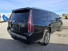 2020 Cadillac Escalade ESV - Photo 5