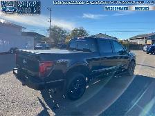 2025 Ford F-150 Lariat - Low Mileage - Photo 5