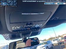 2025 Ford F-150 Lariat - Low Mileage - Photo 24