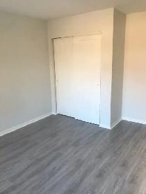 19 Mandaville Court - 18-19 Mandaville Court Apartment for Rent - Photo 6