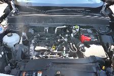 2024 Ford Bronco Sport Free Wheeling 4x4 - Photo 7