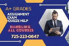 Need a Professional Writer? Work Directly With an Expert