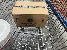 need one moving helper for 11am