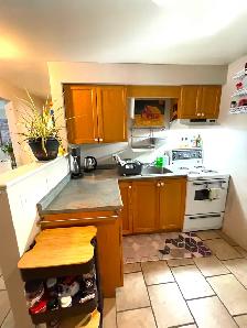 Dundas 1 bd rm   den in quiet building close to shops & Mcmaster - Photo 5