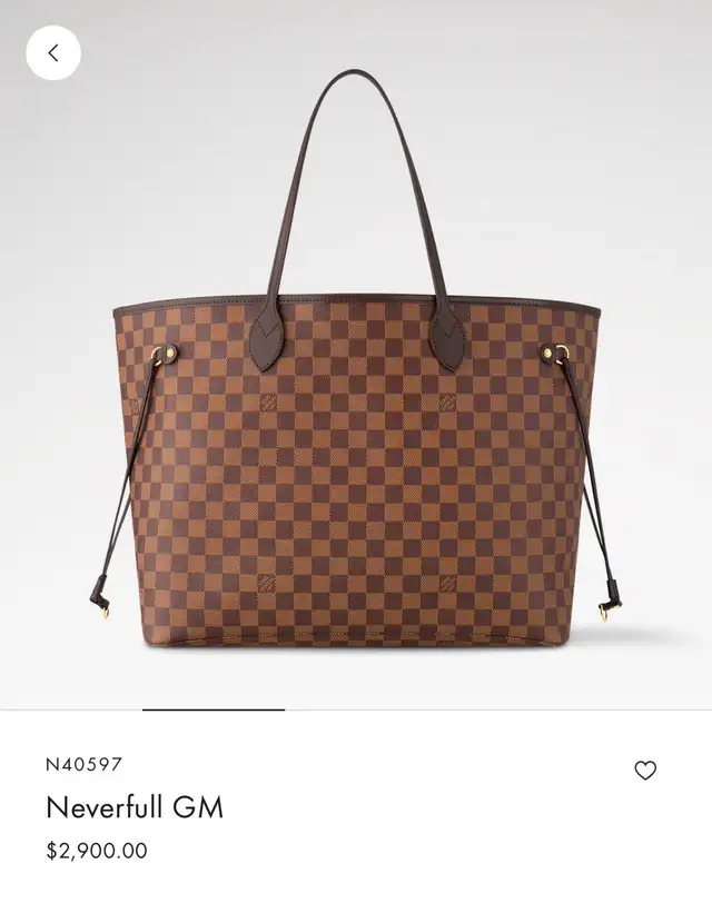 Brand new never used Louis Vuitton Neverfull GM