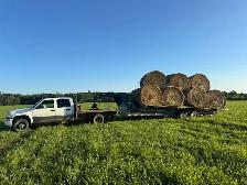 Hay for sale