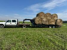 Hay for sale - Photo 2