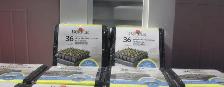 Burpee Seed Trays - Photo 2