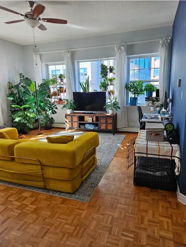 Glebe Annex Large One Bedroom Apartment