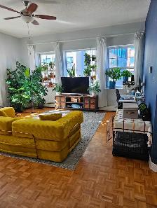 Glebe Annex Large One Bedroom Apartment