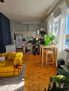 Glebe Annex Large One Bedroom Apartment - Photo 3