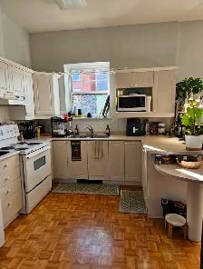 Glebe Annex Large One Bedroom Apartment - Photo 4