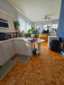 Glebe Annex Large One Bedroom Apartment - Photo 5