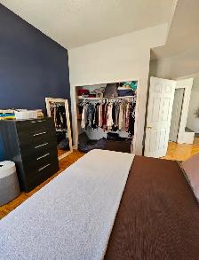 Glebe Annex Large One Bedroom Apartment - Photo 7