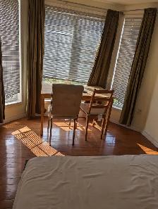 Large Bright Room Private Bath Parking @York University Village - Photo 3