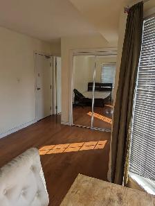 Large Bright Room Private Bath Parking @York University Village - Photo 4