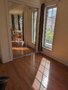 Large Bright Room Private Bath Parking @York University Village - Photo 5