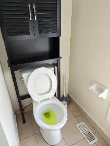 Large Bright Room Private Bath Parking @York University Village - Photo 9