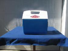 Small Cooler