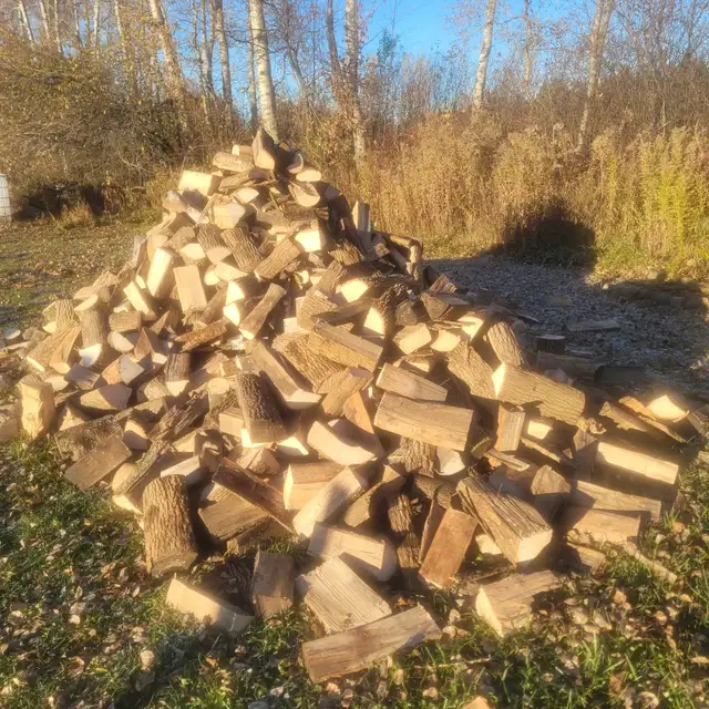 Top Quality Ash firewood
