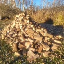 Top Quality Ash firewood